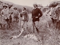 Prob. Eduard Hodek: The Archduke after tiger hunting in Sariska, Alwar, Rajasthan. 1892, collodion paper, mounted, 16.5 x 22 cm, The Museum of Ethnology Vienna, Photo Collection VF_14455